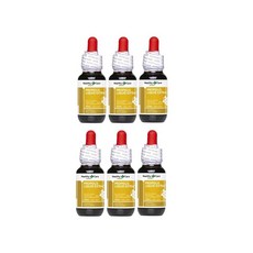 미사용 프로폴리스 추출물 액상 25ml 6병 헬씨케어 호주 직수입, 6개