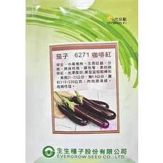 6271 咖啡紅 茄子種子 中包裝 早生 耐病佳, 1包