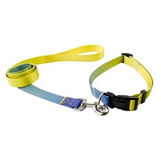 아미펫 강아지 그라데이션 투톤 목줄 + 리드줄 세트, 그린옐로우믹스, 1개