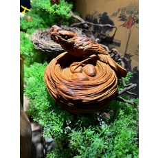 太行崖柏 喜鵲報喜, 如圖所示, 1個