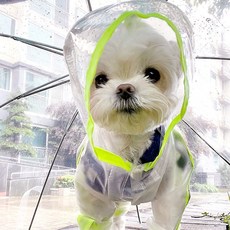 寵物四腳防水雨衣 小型犬雨天神器, 1個, 荧光黄 四脚款 ,XS 背长20-25，体重0.5-2kg