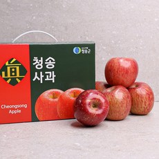 [오늘신선] 경북 청송 명절선물 프리미엄 과일선물 사과세트 2.5kg 중대과(5-7과 내외), 1개