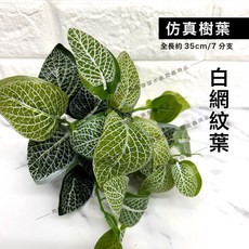 【閃電聯盟】仿真葉子 藤蔓 爬蟲造景 樹棲 爬龍 守宮造景 變色龍 仿真樹葉 蜥蜴攀爬 樹藤, 1個, 白網紋