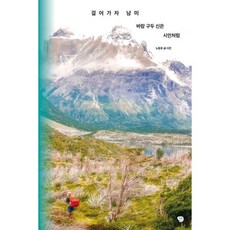 걸어가자 남미 바람 구두 신은 시인처럼, 노동효(저), 나무발전소, 노동효