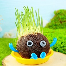 DK 잔디인형 토피어리 보리싹 키우기 1세트