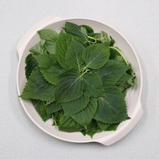 농산물마루 국내산 제철 깻순 깨순 깻잎순 깻순나물, 1박스, 500g