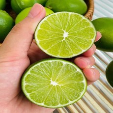 [산지직수입] 신선함 상큼함 멕시코산 라임, 1개, 상큼 톡톡 라임 대과 5.2kg