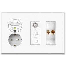 Wonha Ti1配線器通訊插座 大型 1孔+CATV 1房+RJ45 2孔+音頻插孔1孔, 1個