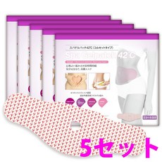 스파겔 패치 42℃(코르셋 타입) 5 세트