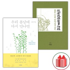 우리 봄날에 다시 만나면 + 법륜 스님의 반야심경 강의 세트