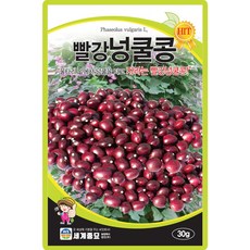 세계종묘 빨강 넝쿨콩 30g, 2개
