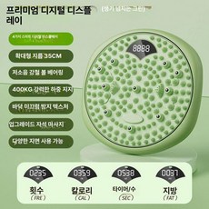 리핀247 지압트위스터 운동기구 트위스터 트위스트, 1개, 디지털 바이브런트 그린