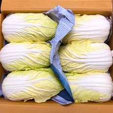 농진사 알배기 쌈베추 국내산 특품 12통, 1개, 8kg