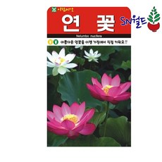 저스틴앤클로이 연꽃 고급꽃씨 10립, 1개
