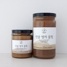 행복한순간 인삼 영지 꿀청 / 금산인삼 영지버섯 대추 천연아카시아벌꿀로 만든 특별한 수제청, 1개, 1개입, 450g