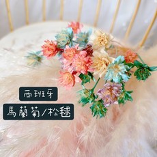 萬花。瞳 西班牙進口馬蘭菊乾燥花素材, 隨機色一份10枝, 粉紅/淡紫/天藍/蒂芬妮綠/杏色