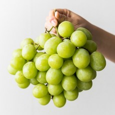 프리미엄 오톰크리스피 애플청포도 아삭하게 즐기는 달콤한 맛, 1개, 1kg내외 * 1팩