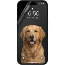 caseplz 종이질감 지문방지 아이폰 액정보호필름, 2세트