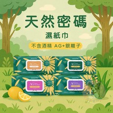 天然密碼 銀離子寵物濕紙巾 寵物紙巾 寵物清潔 狗狗濕紙巾 貓咪濕紙巾 香味濕紙巾 寵物用品, 1個, 綠茶,大包(100抽), 100抽
