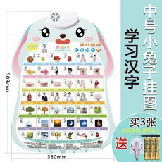 有聲掛圖 早教掛圖 學說話玩具 智能點讀 啟蒙教具 認知圖卡 觸控有聲學習掛圖, 6（學習漢字）