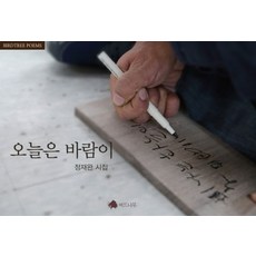 오늘은 바람이:정재완 시집, 버드나무, 정재완 저