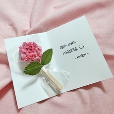 아이솜씨 10개분 오레오 카네이션 카드 만들기 키트 어린이집 어버이날 선물, 기본구성(카네이션10개+카드2개), 1개