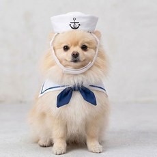 마린펫 의상 강아지 고양이 여름 모자 케이프, 1개