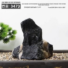 어항 수석 산세척 조경석 수조장식 수족관용품 어항꾸미기, 1개