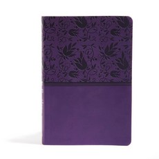 (영문도서) Rainbow Study Bible-NIV Imitation Leather, Holman Bibles, English, 9781433616570