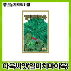 일미치마아욱 20g/수량 많은 다수확 고급종 아욱 씨앗, 1개