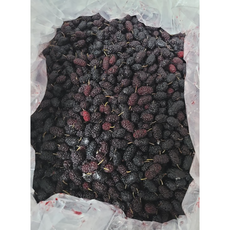 [재구매율 베스트] 국산 전라북도 토종 햇 오디 생과 (급냉), 1개, 3kg (급냉)