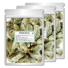 2026햇 목련꽃 봉오리 100%국내산 신이화 50g, 3개