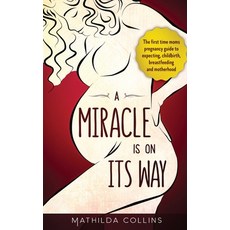 A Miracle Is On Its Way: The First-Time Mom's Pregnancy Guide to Expecting Childbirth Breastfeedin... Paperback, Passive Ventures B.V.