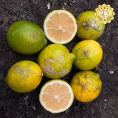 [7일타임어택특가]자연그대로 가정용 못난이 제주 레몬, 1세트, 5kg