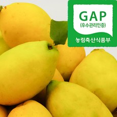 (자연마을) GAP인증 향긋한 안동 생 모과 3kg 5kg, 1개, 모과 3kg(중)(10과내외)