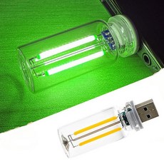 Neioaas USB LED 불꽃 조명 2개 - 리모컨 및 타이머가 있는 미니 플러그인 차량 주변 램프 자동차 가정 캠핑 파티 및 크리스마스 장식용 미니 레트로 유리 주, 초록색