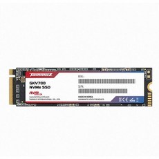 Tammuz GKV700 M.2 NVMe SSD 128GB Gen3, 단품