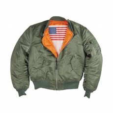 ALPHA INDUSTRIES MA-1 Blood Chit 飛行夾克, 1個