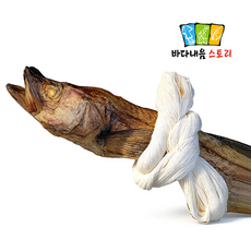 통북어 1마리 자동차고사 개업식고사용, 1개, 1g