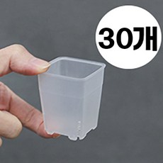 A미니 투명 플라스틱 슬릿화분 사각, 30개