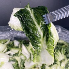 먹판사 냉동 염장 배추 우거지10kg 아이스박스포장, 1개
