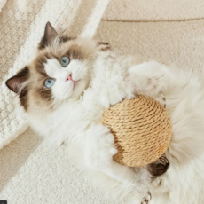 고양이 스크래쳐 볼 장난감 캣닢 포함 회전형 스트레스 해소 고양이 장난감, 베이지, 1개