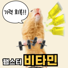 햄스터 비타민 기력회복 활력충전 마루칸 간식 먹이 노령햄찌 비타민C 비타민B VITAMIN, 3개, 5ml