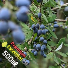 J028 주니퍼베리 500ml (Juniper Berries Essential Oil) 천연에센셜 오일 원액 아로마