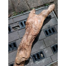 台灣紅檜木瘤花天雕奇木擺件 風化倒格老料 獨一無二瘤殼造型 居家裝飾藝術品, 1個