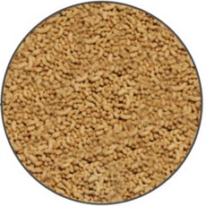 해신이네잡화점 금붕어 비단잉어 영양사료 100g 물고기밥 물고기먹이, 1개, 100ml