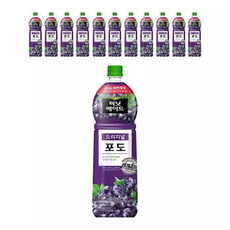 미닛메이드 포도, 1.5L