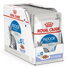 로얄캐닌 인도어 젤리 파우치 85g X12개, 닭, 12개