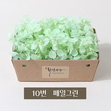 화연양화 프리저브드플라워 블루밍 케이스 수국 30색, 10 페일그린