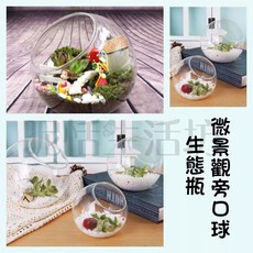 微景玻璃球/斜口/多肉植物玻璃花盆/生態瓶/微景觀/創意DIY花器裝飾/斜口玻璃球/魚缸高透明玻璃花瓶/旁口球, 1個, 微景觀旁口球,【特大】直徑15cm/口徑10cm